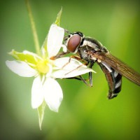 /album/riololeme/photolia-a02-jpg/
