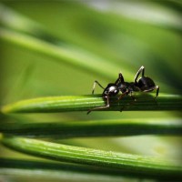 /album/riololeme/photolia-a05-jpg/