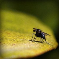 /album/riololeme/photolia-a07-jpg/