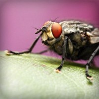 /album/riololeme/photolia-a08-jpg/